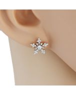 Sparkling Silver Tone Designer Earrings with Sparkling Crystals  (Silver Sparkler)